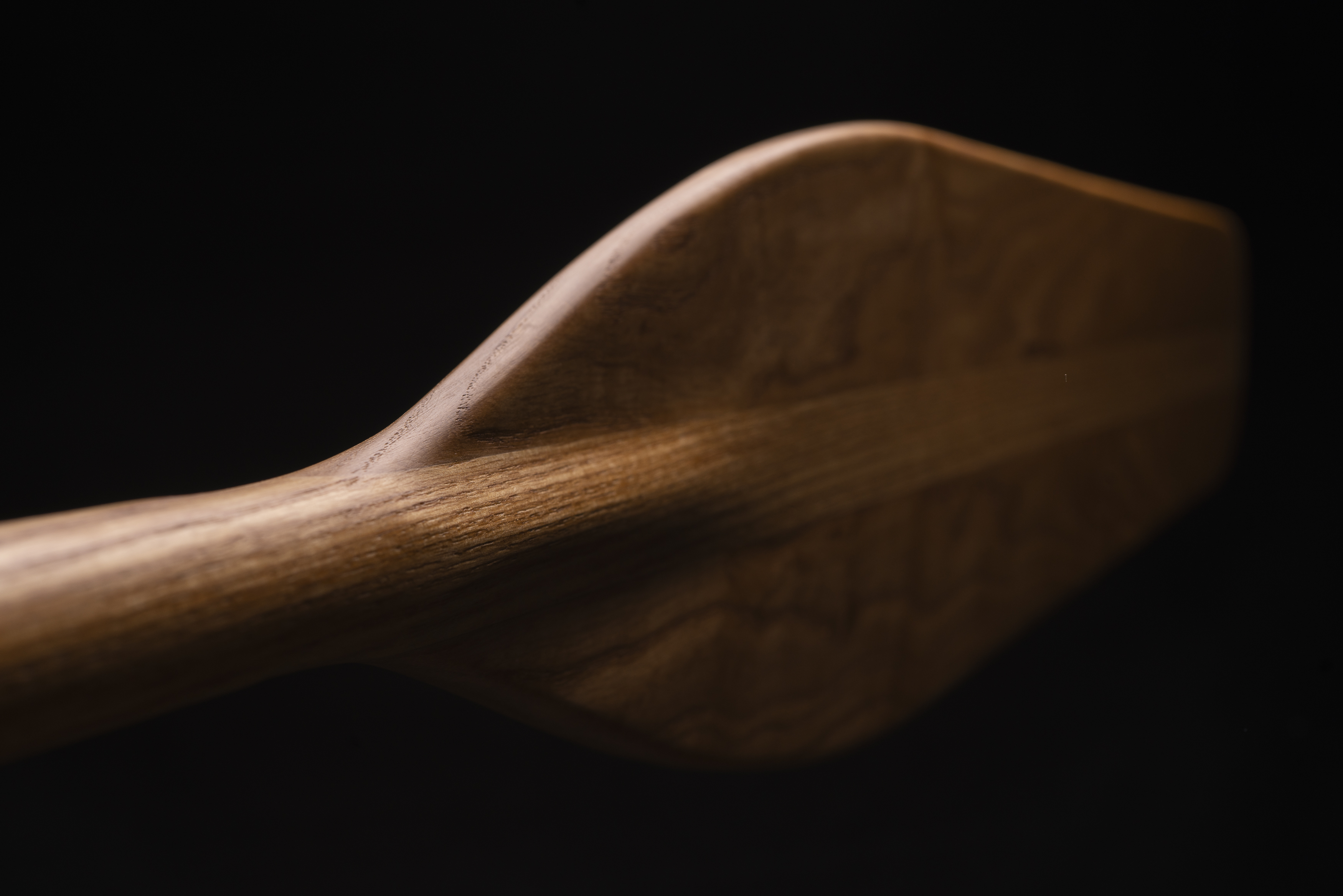 paddle perspective 1 a
